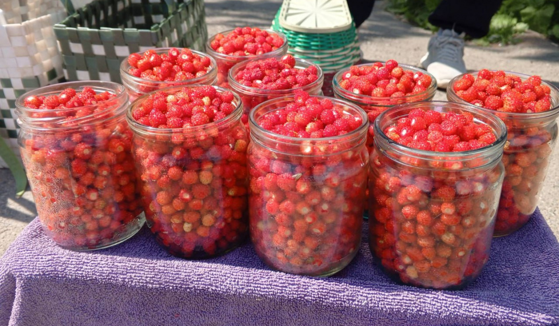 Огородные рыночки в Артемовском и Буланаше: выживают, но не сдаются